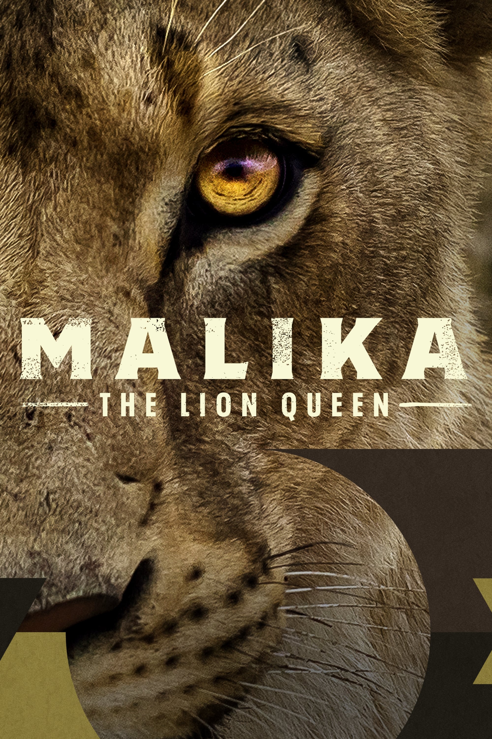 Постер Malika the Lion Queen
